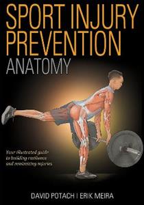 Sport Injury Prevention Anatomy Sport Injury Prevention Anatomy